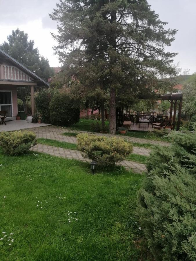 Rajski Vrt Врднік Екстер'єр фото
